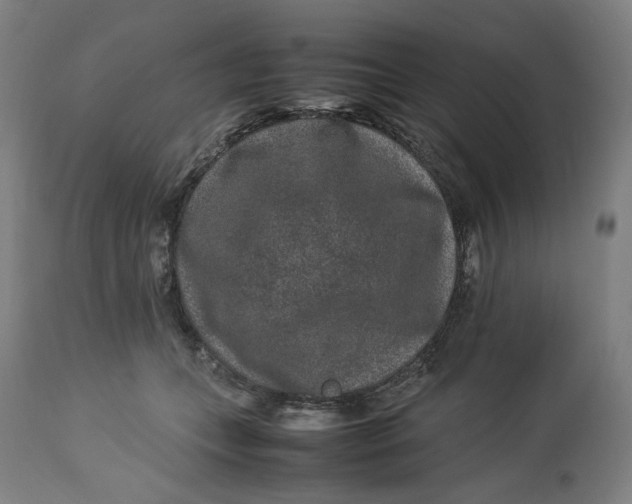 X0000113010559200909171432