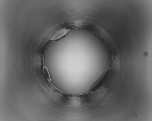 X0000113010562200909171432