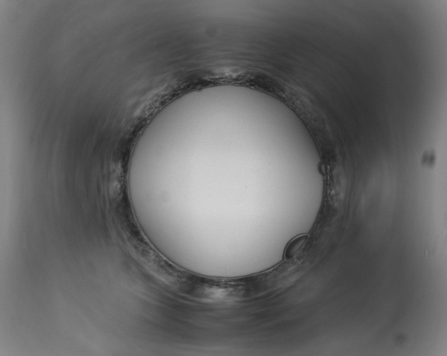 X0000113010563200909171432