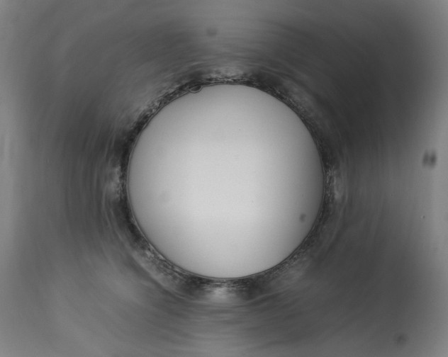 X0000113010564200909171432