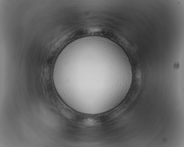 X0000113010565200909171432