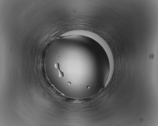 X0000113010566200909171432