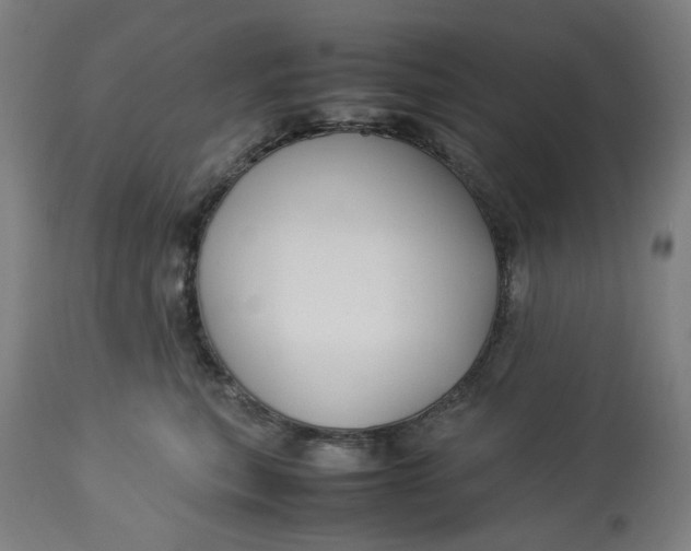 X0000113010567200909171432