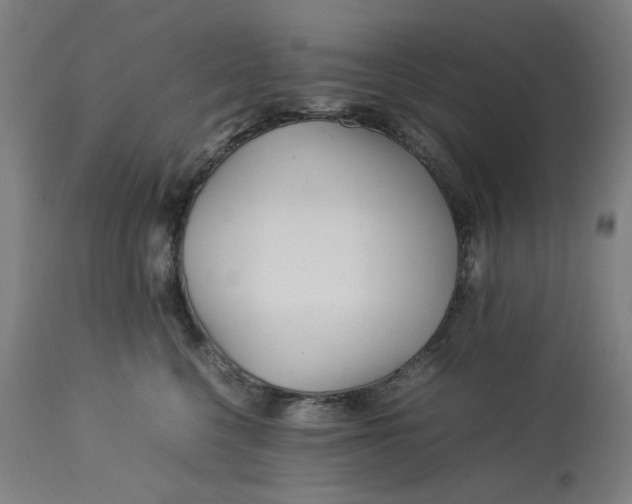 X0000113010568200909171432