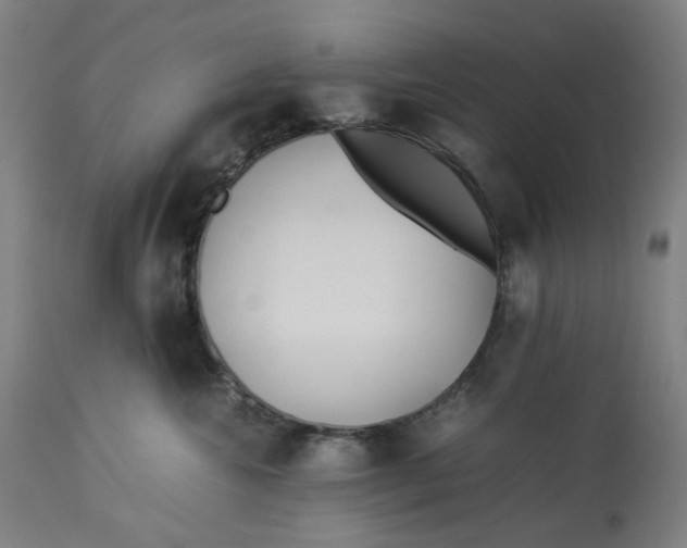 X0000113010572200909171432