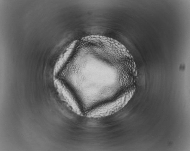 X0000113010573200909171432