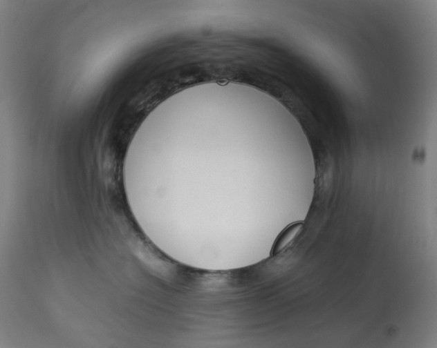 X0000113010574200909171432