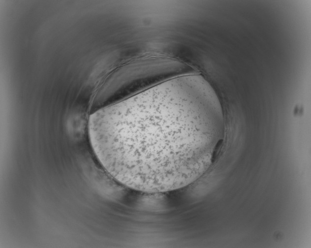 X0000113010576200909171432