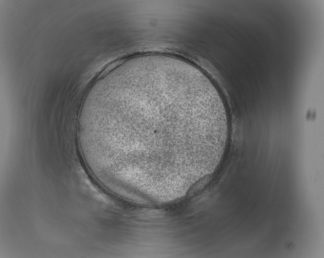 X0000113010577200909171432