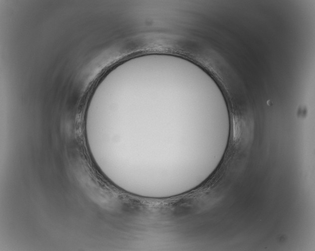 X0000113010579200909171432