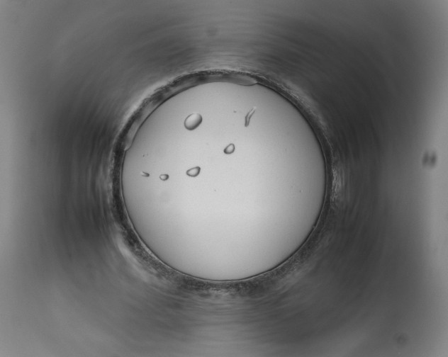 X0000113010580200909171432