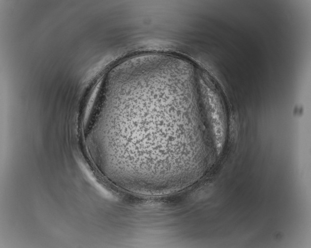 X0000113010581200909171432