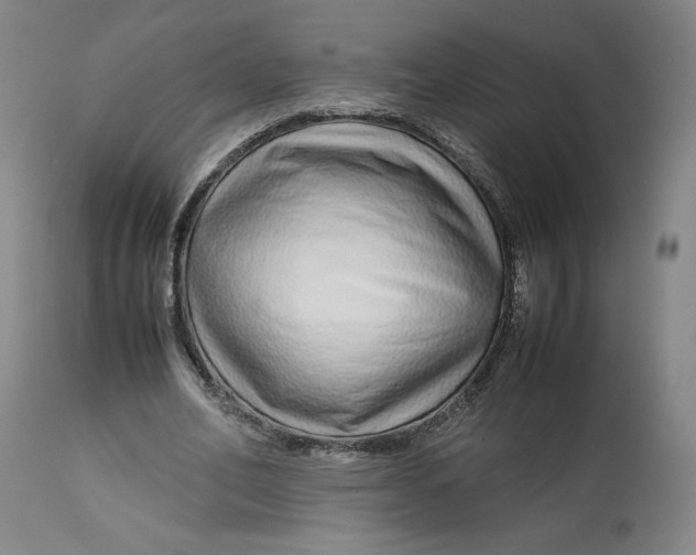 X0000113010582200909171432