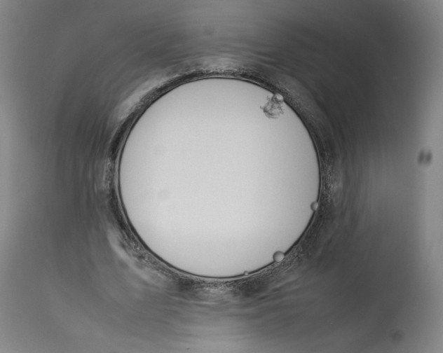 X0000113010583200909171432