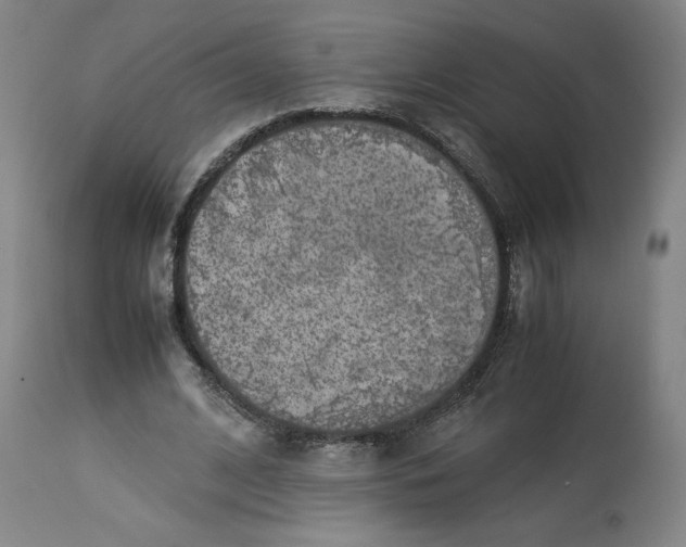 X0000113010584200909171432