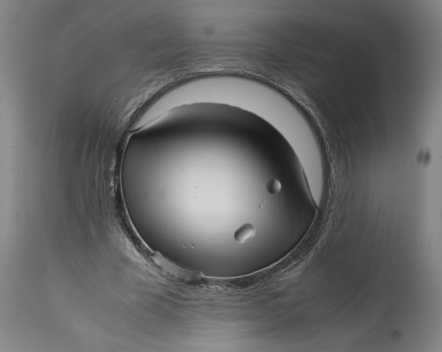 X0000113010585200909171431