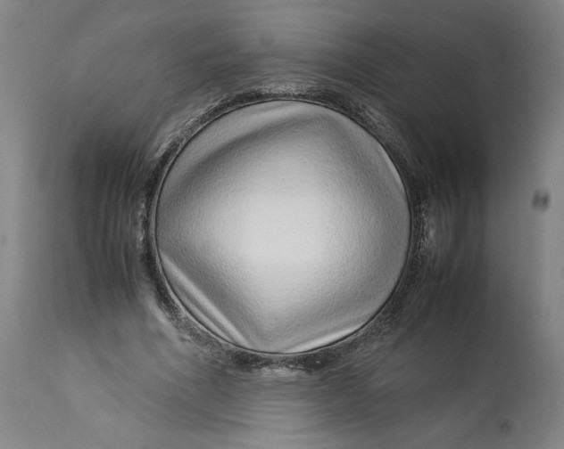 X0000113010586200909171431