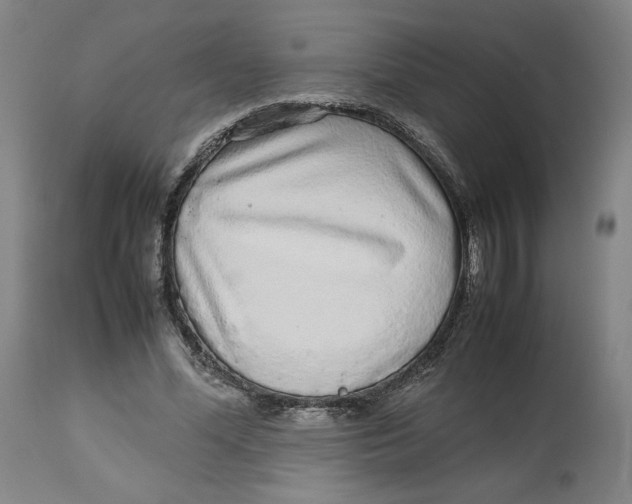 X0000113010588200909171431