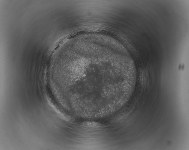 X0000113010590200909171431