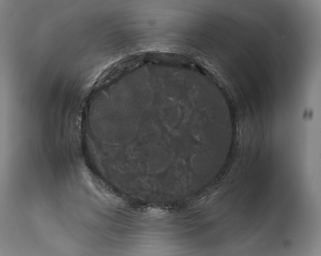 X0000113010592200909171431