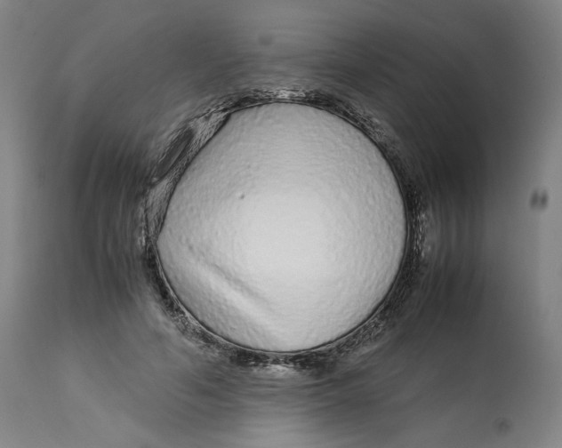 X0000113010594200909171431