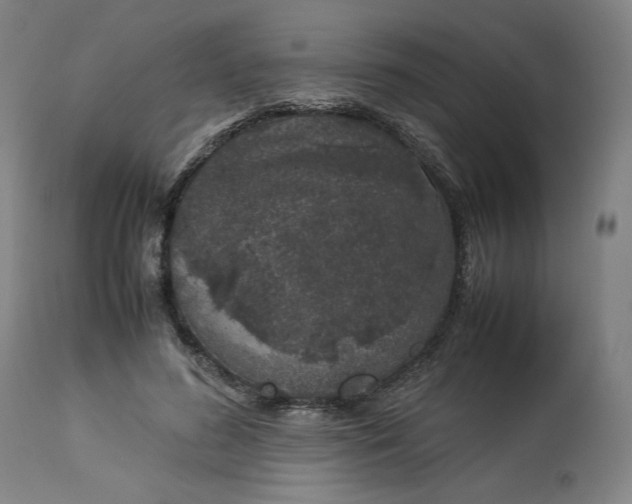 X0000113010596200909171431