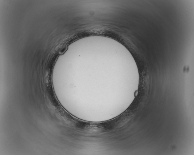 X0000113010597200909171431