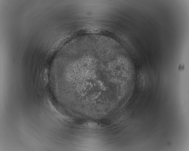 X0000113010598200909171431