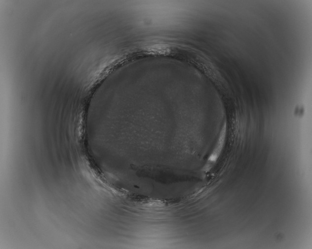 X0000113010600200909171431