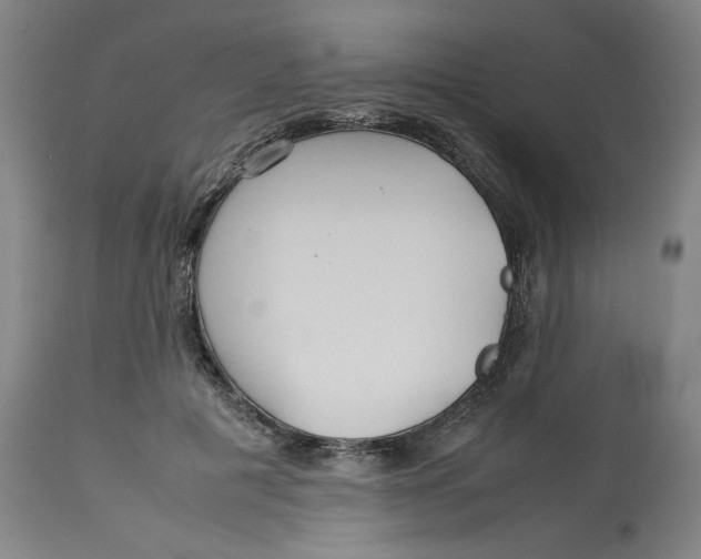 X0000113010601200909171431