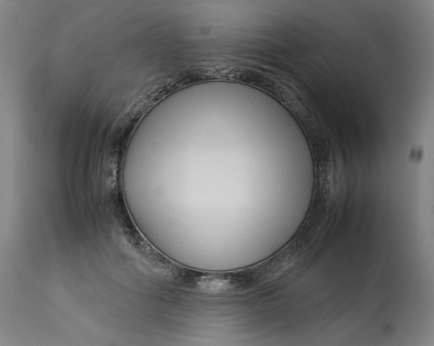 X0000113010602200909171431