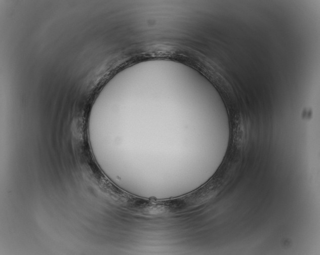 X0000113010604200909171431