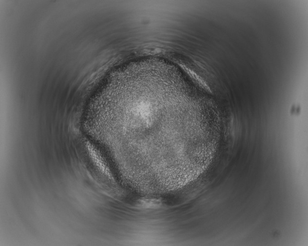 X0000113010606200909171431