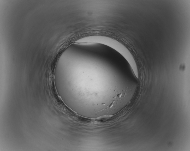 X0000113010609200909171431