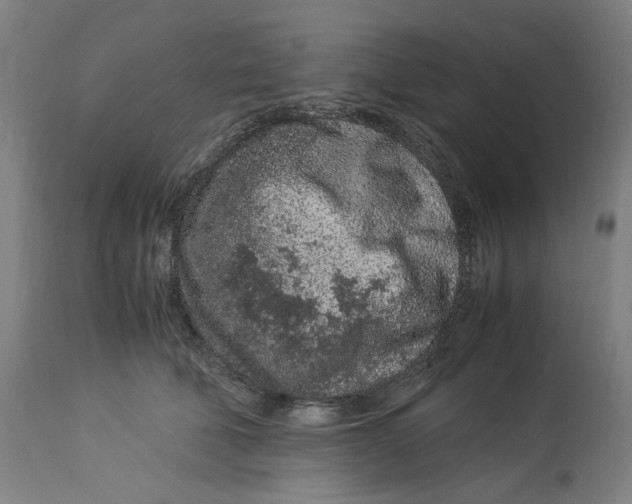 X0000113010610200909171431