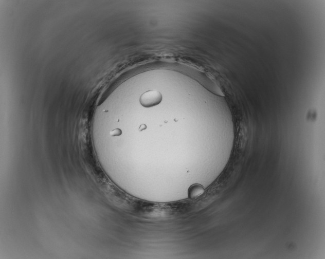 X0000113010612200909171431