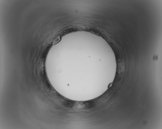 X0000113010613200909171431