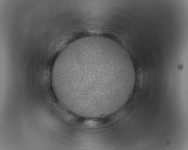 X0000113010614200909171431