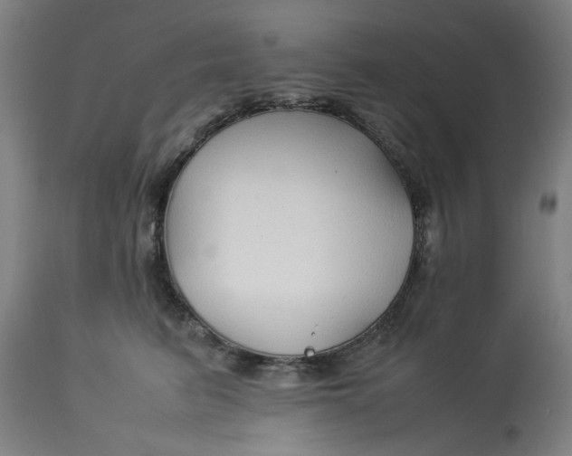 X0000113010615200909171431