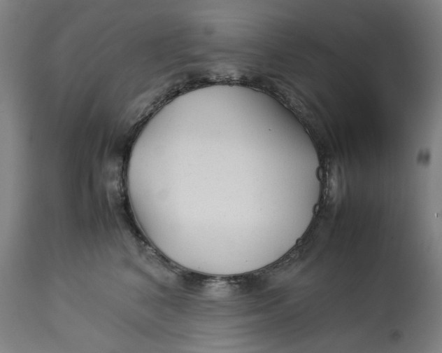 X0000113010616200909171431