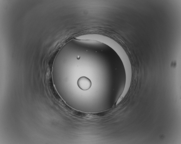 X0000113010617200909171431