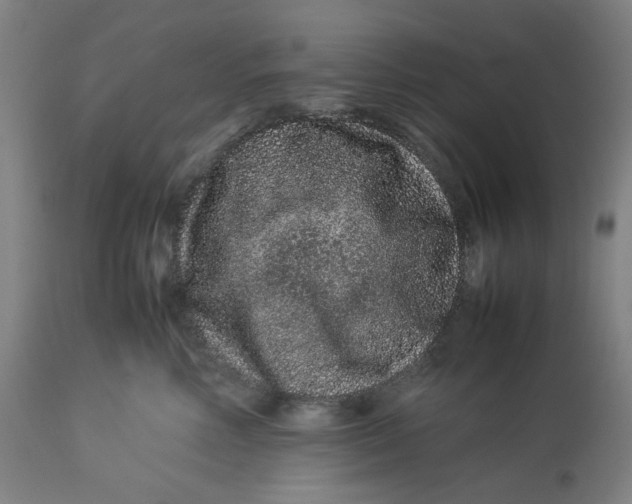 X0000113010618200909171431