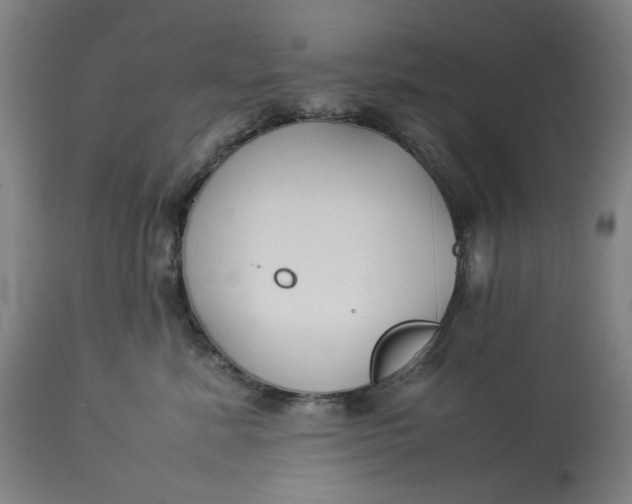 X0000113010619200909171431