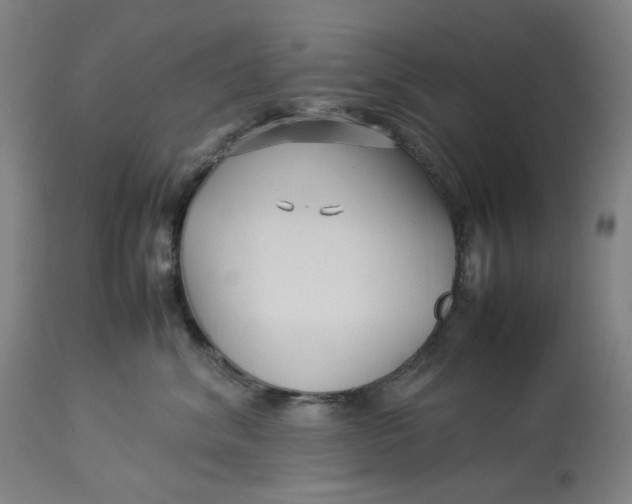 X0000113010620200909171431