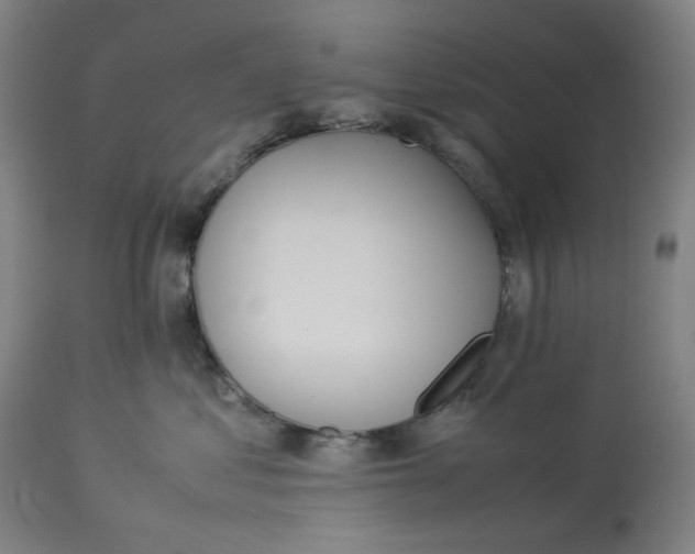 X0000113010621200909171431