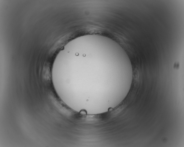 X0000113010622200909171431