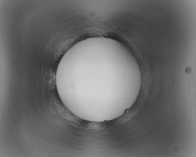 X0000113010624200909171431