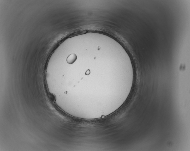 X0000113010625200909171430