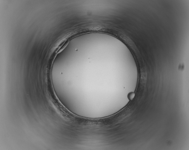 X0000113010626200909171430