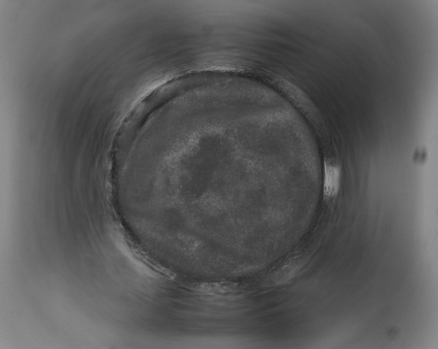 X0000113010627200909171430